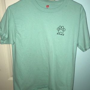 Teal short sleeved PAWZ tee